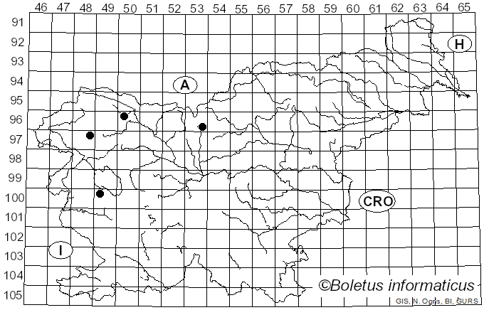 <i>Secoliga jenensis</i> (Batsch) P.F. Cannon (2024)