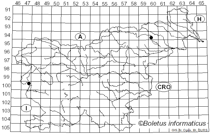 <i>Leucoagaricus meleagris</i> (Sowerby) Singer (1952)