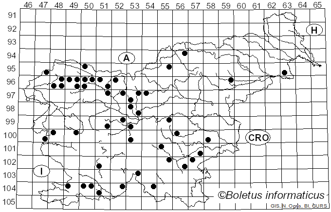 <i>Physarum</i> Pers. (1794)
