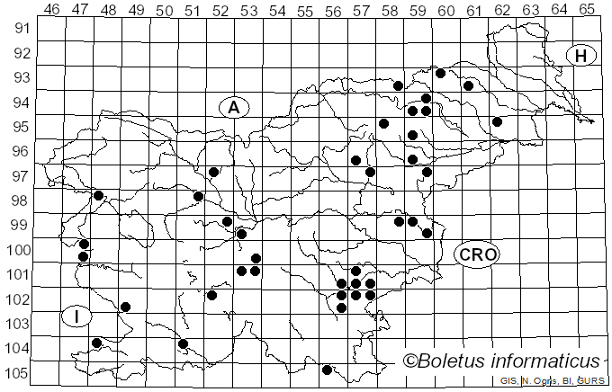 <i>Calonarius callochrous</i> (Pers.) Niskanen & Liimat. (2022)