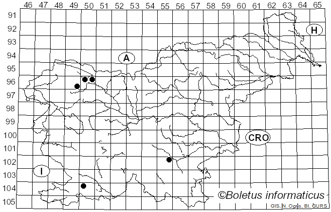 <i>Dacryobolus sudans</i> (Alb. & Schwein.) Fr. (1849)