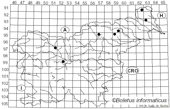 <i>Tricholoma saponaceum</i> var. <i>rapipes</i> (Krombh.) J.E. Lange (1933)