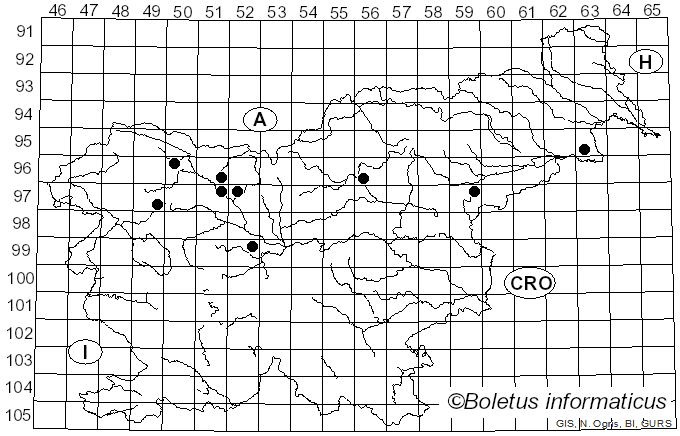<i>Serpula himantioides</i> (Fr.) P. Karst. (1885)