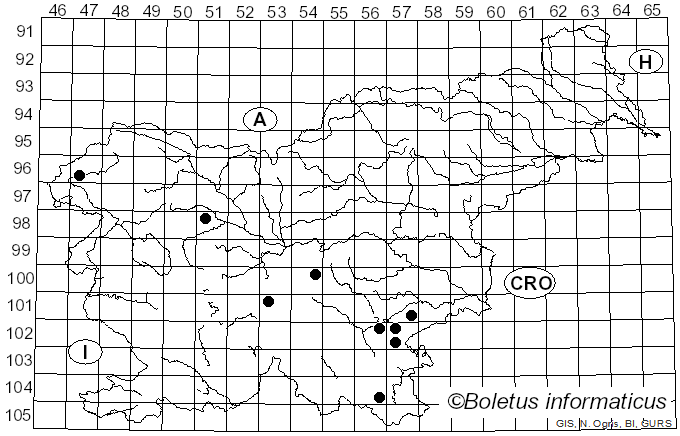 <i>Faerberia</i> Pouzar (1981)