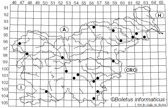 <i>Neoboletus xanthopus</i> (Klofac & A. Urb.) Klofac & A. Urb. (2014)