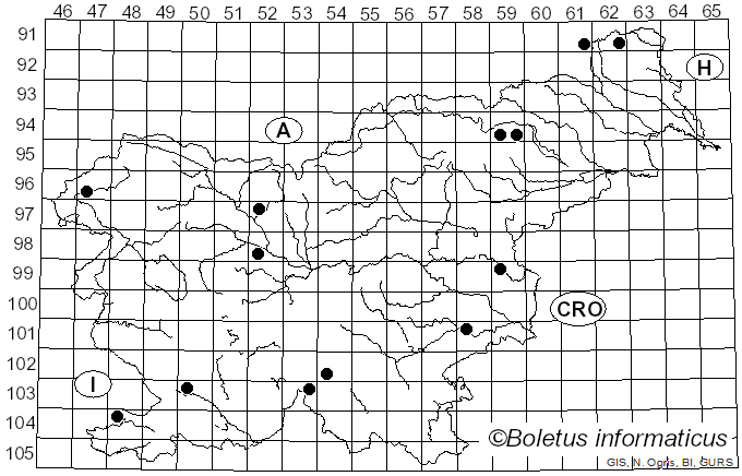 <i>Entoloma euchroum</i> (Pers.) Donk (1949)