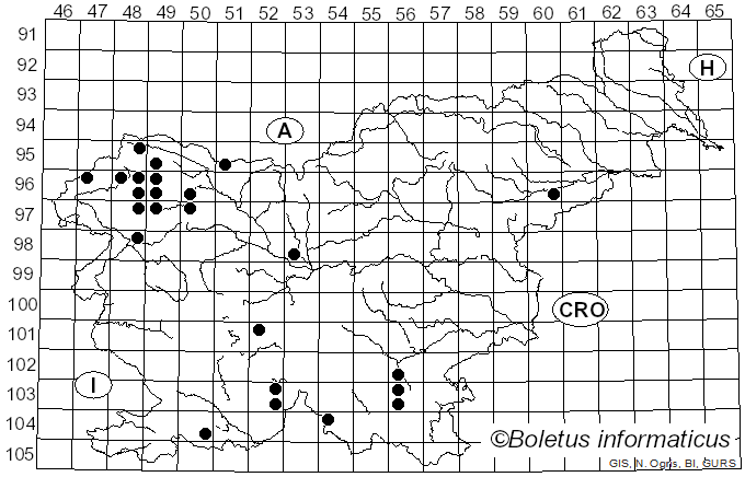 <i>Peltigera horizontalis</i> (Huds.) Baumg. (1790)