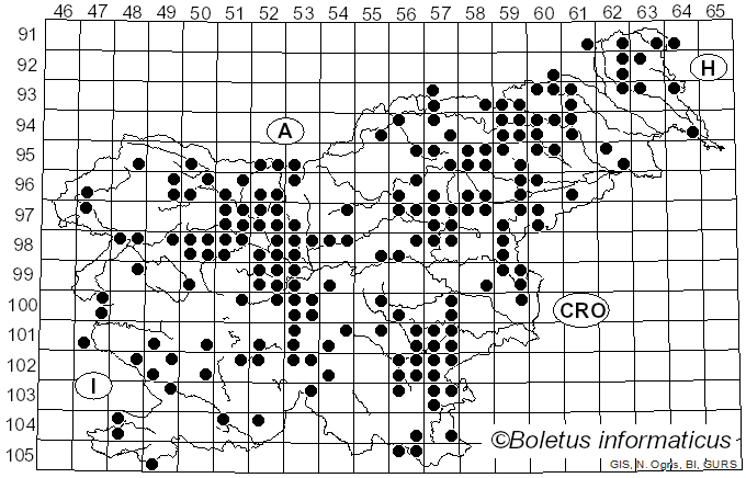 <i>Coprinus comatus</i> (O.F. Müll.) Pers. (1797)