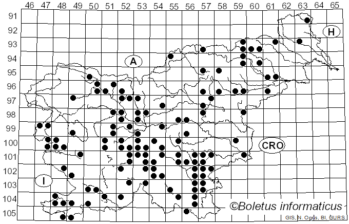 <i>Rubroboletus satanas</i> (Lenz) Kuan Zhao & Zhu L. Yang (2014)