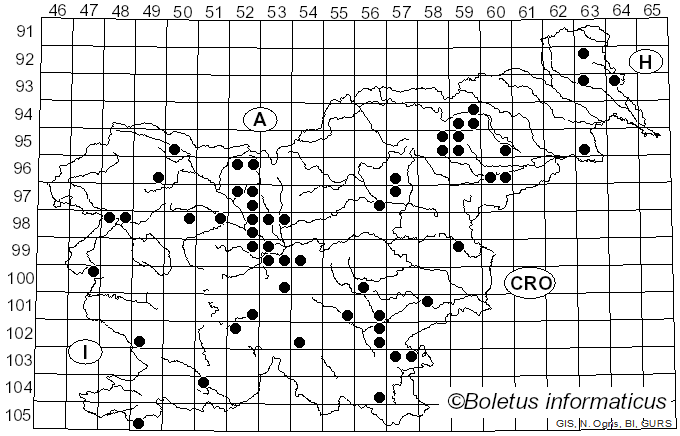 <i>Asterophora</i> Ditmar (1809)