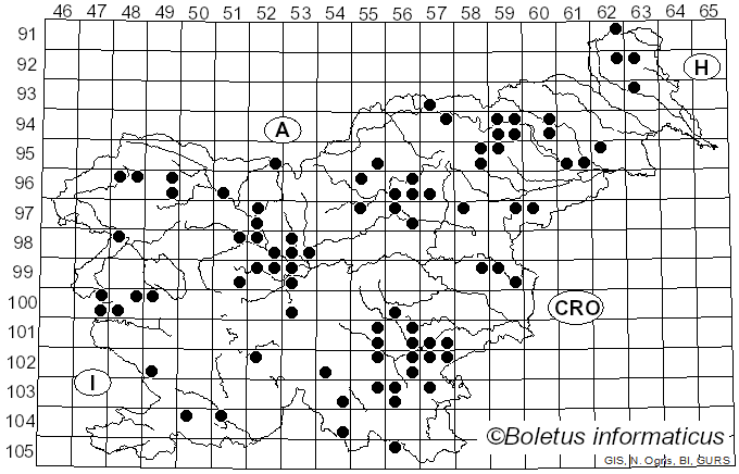 <i>Cyanosporus caesius</i> (Schrad.) McGinty (1909)