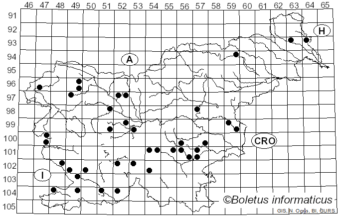 <i>Cortinarius cotoneus</i> Fr. (1838)
