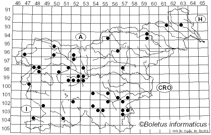 <i>Lepiota aspera</i> (Pers.) Quél. (1886)