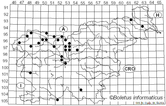 <i>Leptosphaeria</i> Ces. & De Not. (1863)