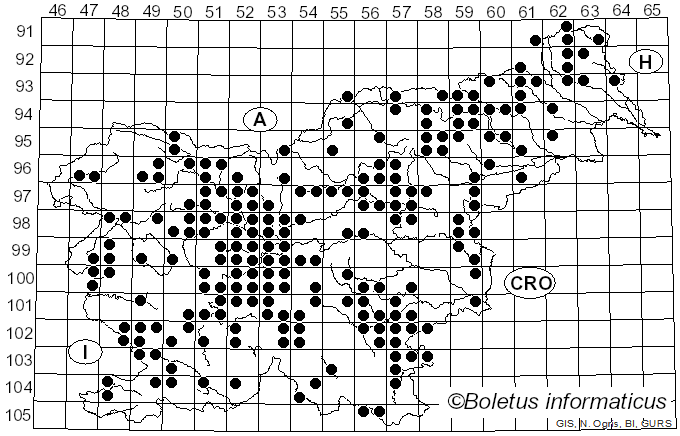 <i>Lactarius deliciosus</i> (L.) Gray (1821)
