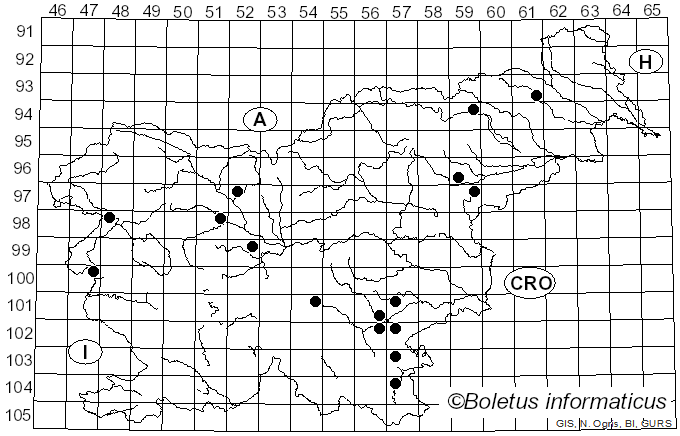 <i>Cortinarius rigens</i> (Pers.) Fr. (1838)