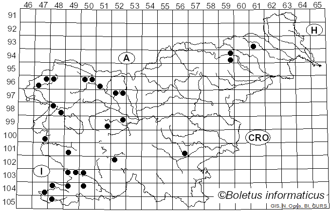 <i>Terana coerulea</i> (Lam.) Kuntze (1891)