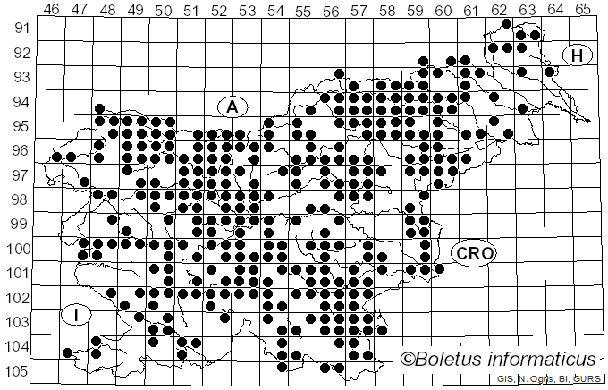 <i>Fomitopsis</i> P. Karst. (1881)