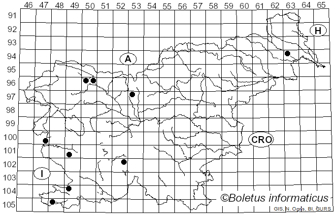 <i>Hysterographium fraxini</i> (Pers.) De Not. (1847)