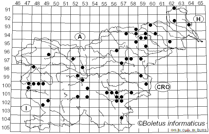 <i>Mycena maculata</i> P. Karst. (1890)