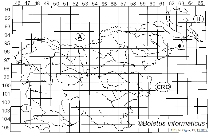<i>Dichocladosporium chlorocephalum</i> (Fresen.) K. Schub., U. Braun & Crous (2007)