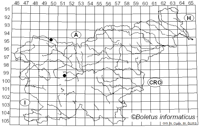 <i>Stephanospora caroticolor</i> (Berk.) Pat. (1914)