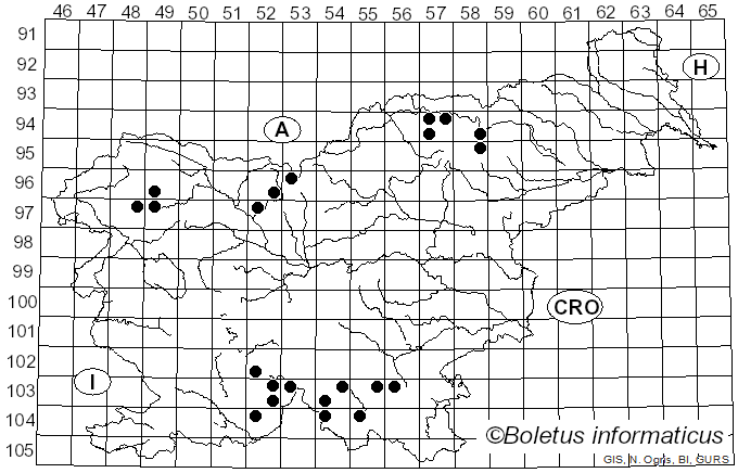 <i>Menegazzia terebrata</i> (Hoffm.) A. Massal. (1854)