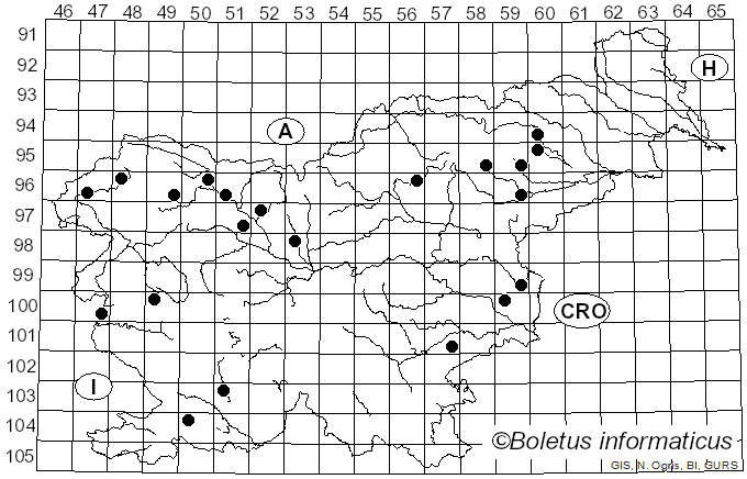 <i>Ascocoryne cylichnium</i> (Tul.) Korf (1971)