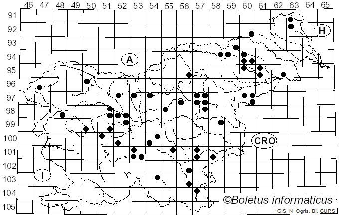 <i>Sarcoscypha coccinea</i> (Gray) Boud. (1885)