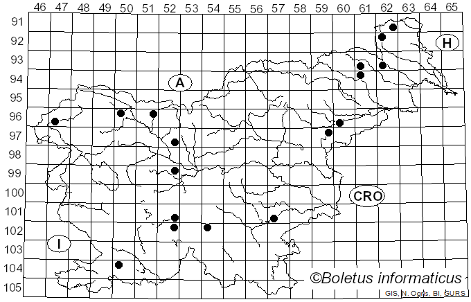 <i>Neoantrodia</i> Audet (2017)