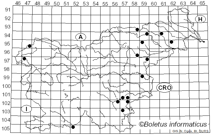 <i>Laeticutis</i> Audet (2010)