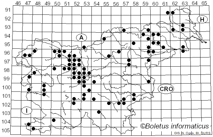 <i>Flammulina</i> P. Karst. (1891)