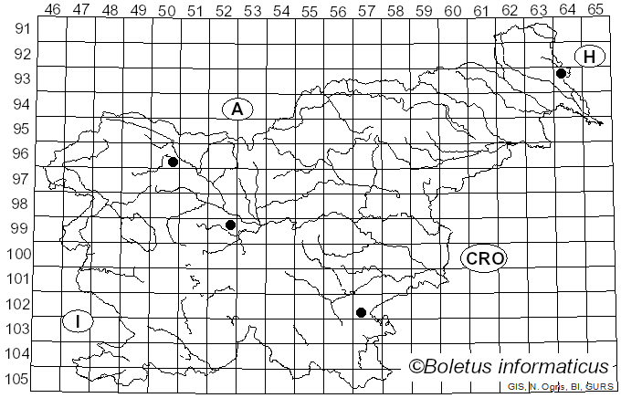 <i>Cortinarius ophiopus</i> Peck
