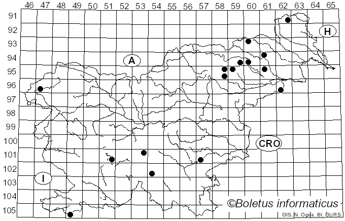 <i>Russula gracillima</i> Jul. Schäff. (1931)