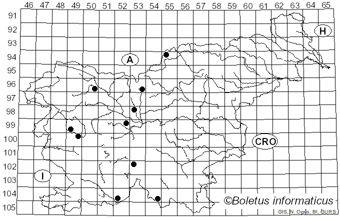 <i>Lycogala conicum</i> Pers. (1801)