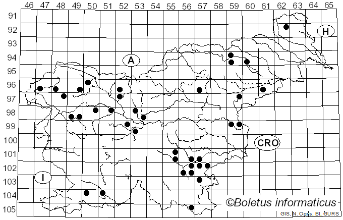 <i>Clavulinopsis</i> Overeem (1923)