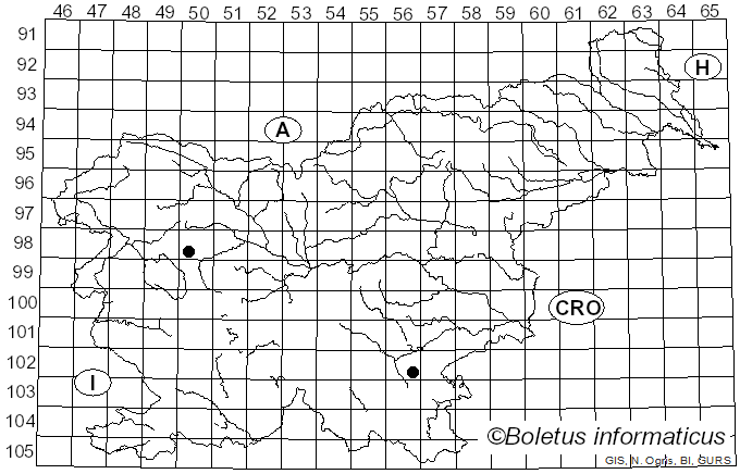 <i>Calonarius elotus</i> (Fr.) Niskanen & Liimat. (2022)