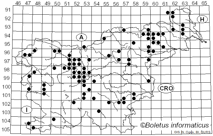 <i>Flammulina velutipes</i> (Curtis) Singer (1951)