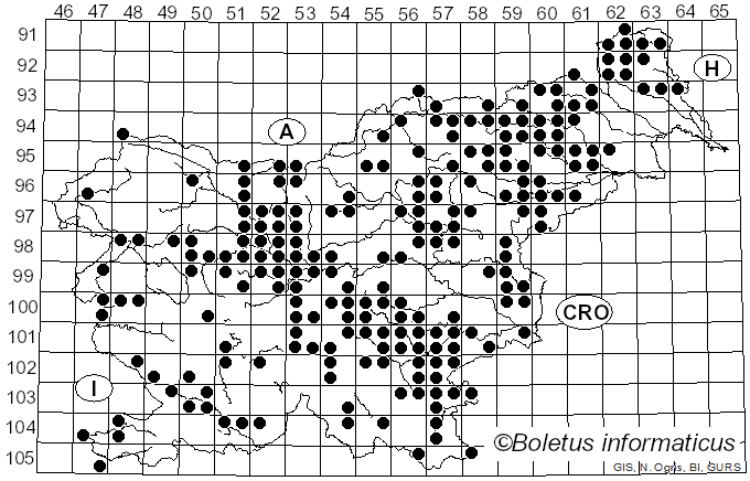 <i>Piptoporus</i> P. Karst. (1881)