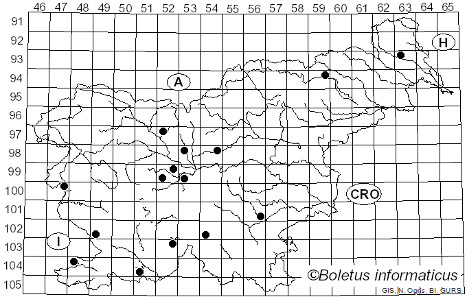 <i>Lyophyllum infumatum</i> (Bres.) Kühner (1938)