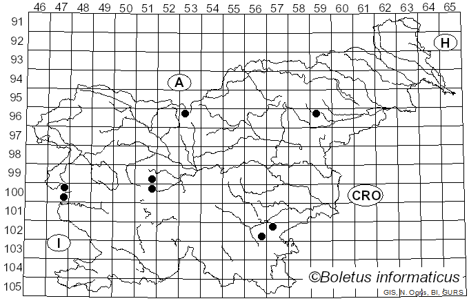 <i>Melanogaster</i> Corda (1831)