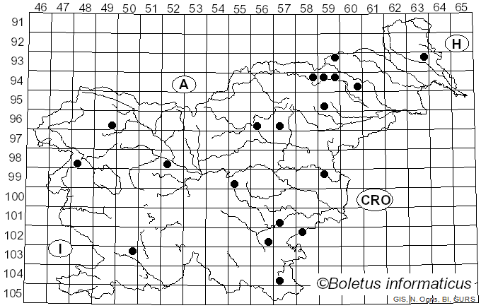 <i>Pluteus exiguus</i> (Pat.) Sacc. (1887)