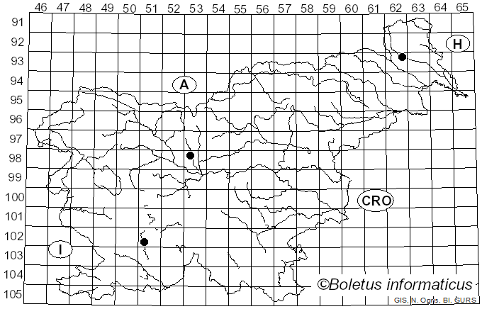 <i>Argyresthia thuiella</i> Packard (1871)