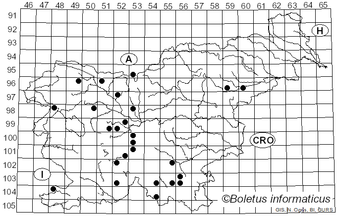<i>Hymenochaete cruenta</i> (Pers.) Donk (1959)