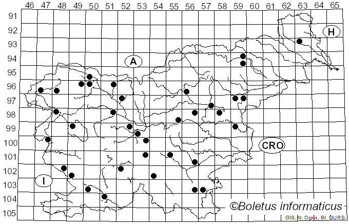 <i>Hygrocybe citrinovirens</i> (J.E. Lange) Jul. Schäff.