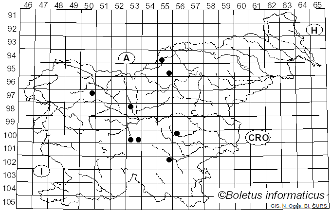 <i>Cribraria cancellata</i> (Batsch) Nann.-Bremek. (1975)