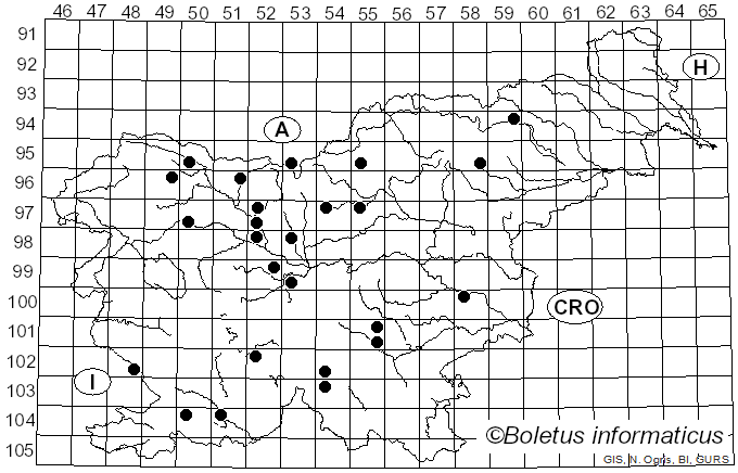 <i>Pluteus roseipes</i> Höhn.
