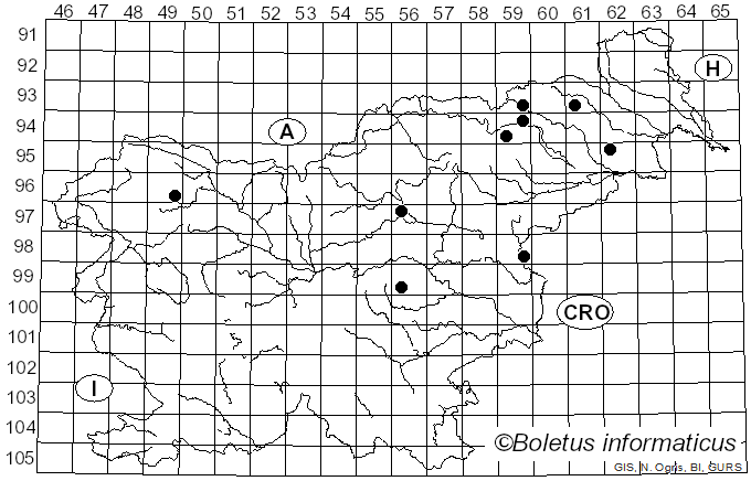 <i>Tulosesus impatiens</i> (Fr.) D. Wächt. & A. Melzer (2020)