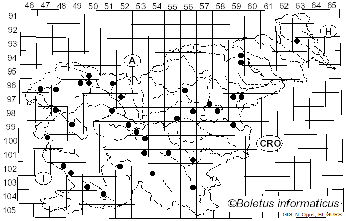 <i>Hygrocybe citrinovirens</i> (J.E. Lange) Jul. Schäff.