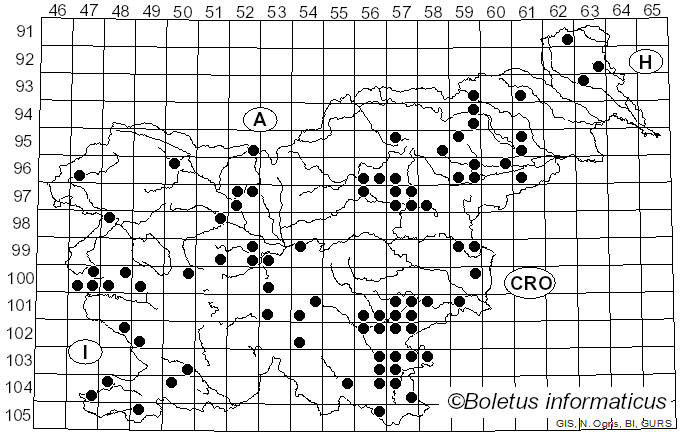 <i>Abortiporus</i> Murrill (1904)
